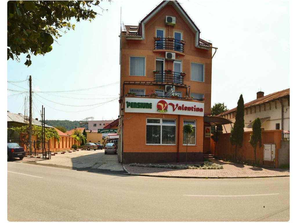 Pensiune Valentina Hotel Ramnicu Valcea Bagian luar foto
